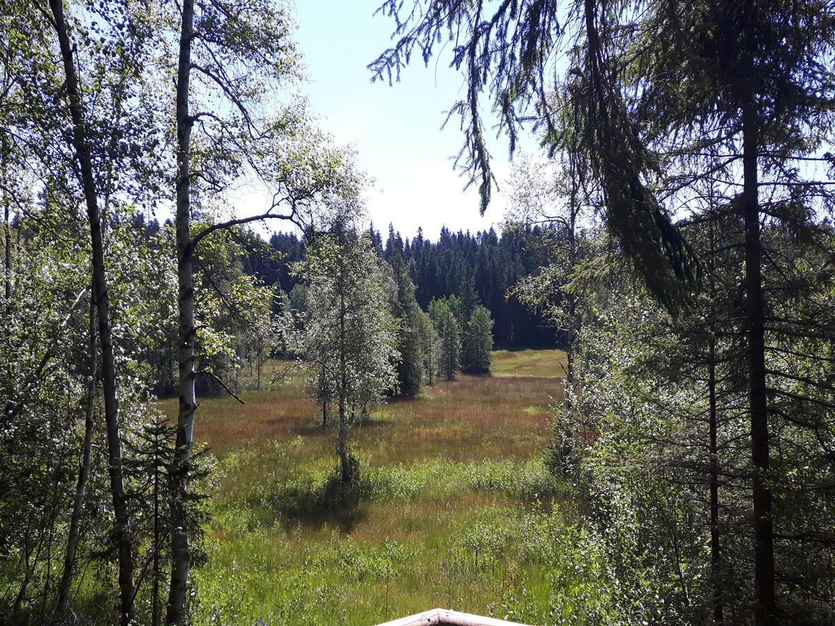 Ferienwohnung Sonnenschein Heimenkirch Buitenkant foto